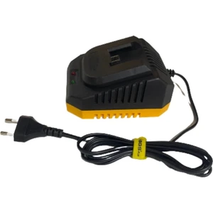 Plus Hızlı Şarj Ünitesi 20V 2.5 A