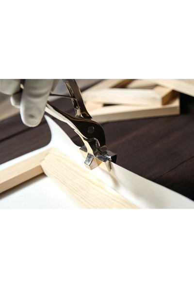 AR AJANS KANVAS TABLO Altın Gövdeli Ağaç Kanvas Tablo Kanvas Tablo