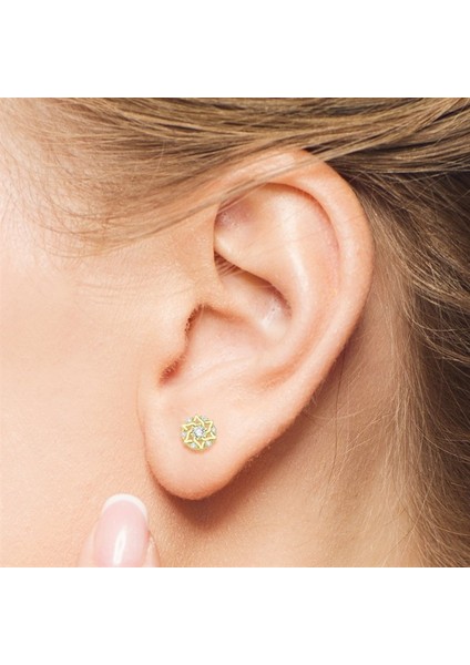 14 Ayar Yıldız Taşlı Altın Küpe fiyatları