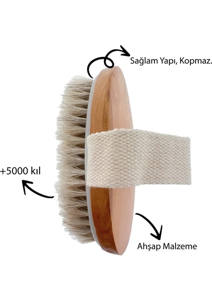 At Kılı Fırçası Özel Kutusunda ve Kullanım Klavuzlu, Hijyenik modelleri