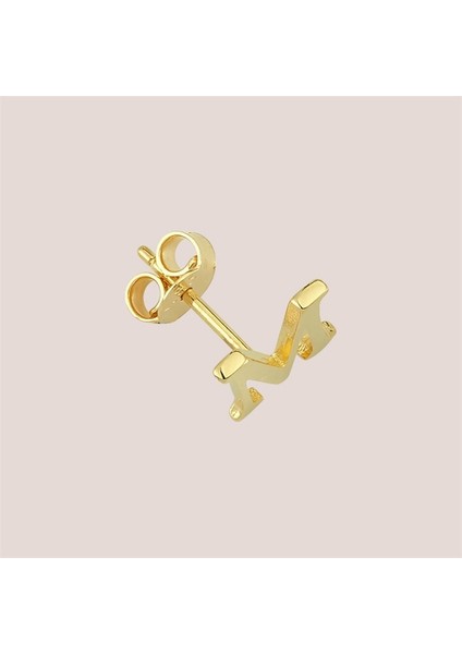 14 Ayar Altın M Harf Küpe 0,57 gr indirimleri