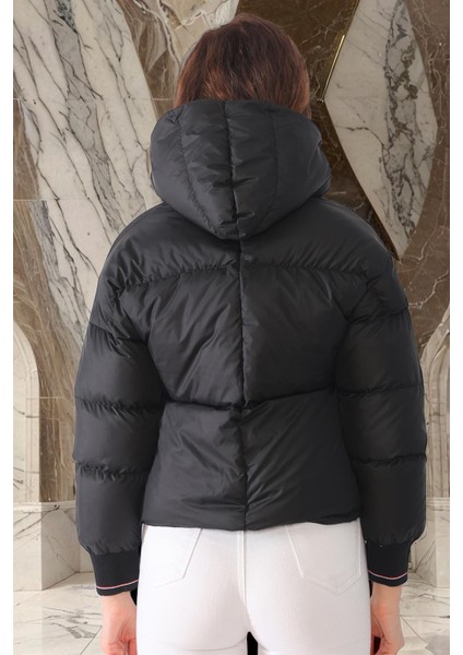 Z6650 Dewberry Bayan Şişme Mont-Düz Siyah fiyatları