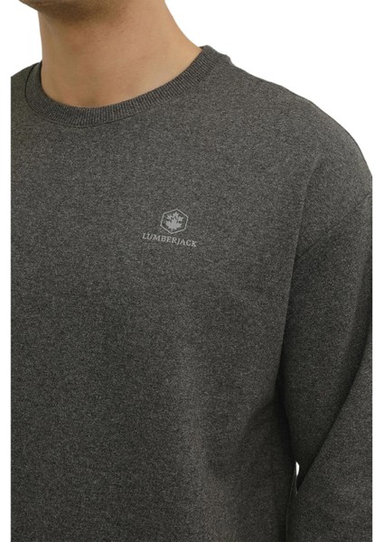 SN75 Bsc C Neck Sw 3pr Sweat Erkek Sweatshirt