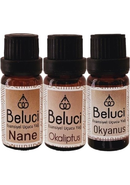 Nane + Okaliptus + Okyanus Uçucu Buhurdanlık Yağı Oda Kokusu Aromaterapi Set (3 Ad*10 Ml)