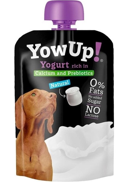 Kalsiyum ve Prebiotikli Laktozsuz Köpek Yoğurdu 115 gr