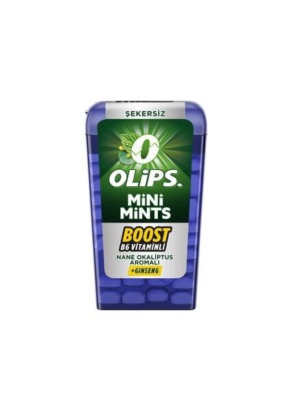 Mini Mints Nane Ginseng 12.5 gr x 12