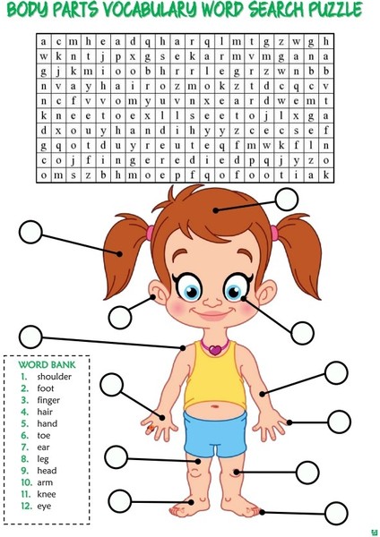 Enine Boyuna Eğitim Herkese İngilizce Öğreten Bulmaca Kitap Seti (4 Kitap)