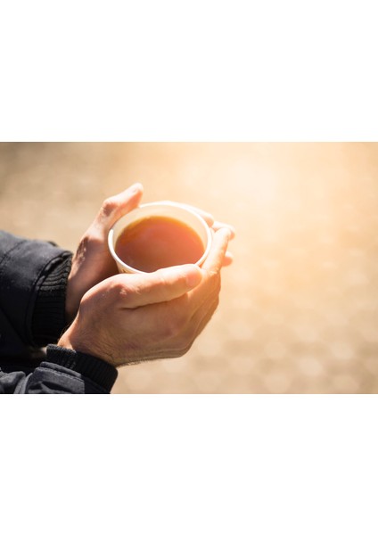 Fesleğen 100g fiyatları