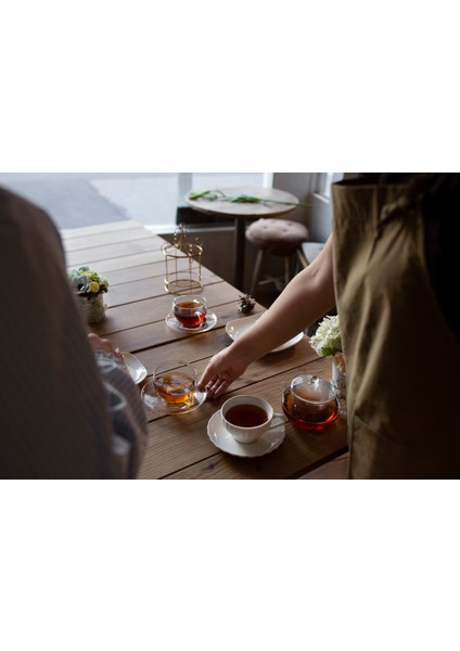 Fesleğen 100g modelleri