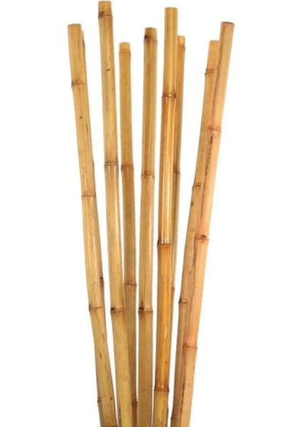 30 Adet Bambu Bitki Fidan Destek Çubuğu 190 - 200 Cm