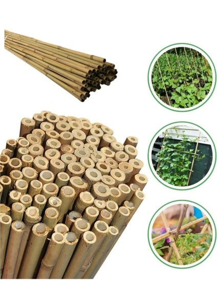 30 Adet Bambu Bitki Fidan Destek Çubuğu 190 - 200 Cm