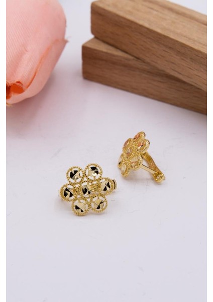 14 Ayar Altın Küpe J Klips Kadın Küpe LKKP1110 fiyatları