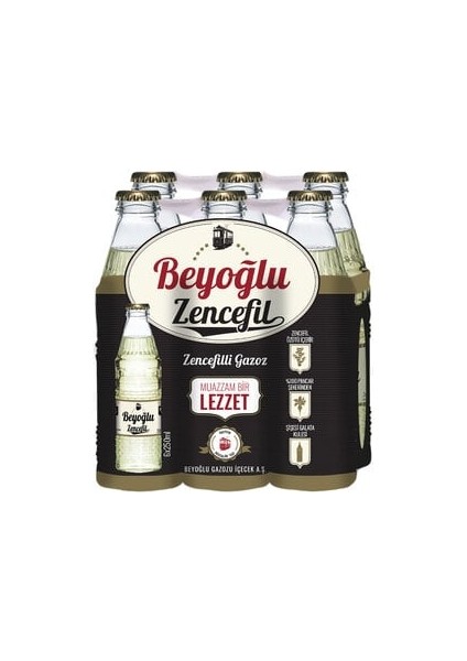 Zencefilli Doğal Zengin Mineralli Gazlı Içecek 6X250ML ( 1 Adet )