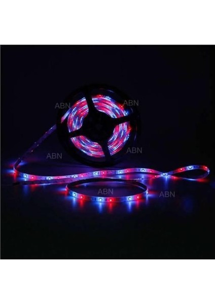 15 Renkli Uzaktan Kumandalı 3 Metre Şerit LED Dayanıklı Silikonlu Dış Mekan Dekor Aydınlatması fiyatları