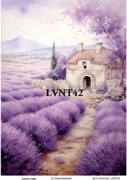 Pirinç Dekopaj Kağıdı LA-LVNT42