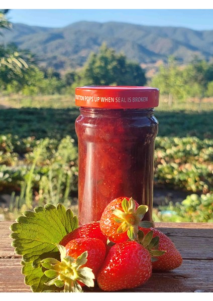 Doğal Yayla Çileği Reçeli Yeni Üretim El Yapımı Çilek Reçeli 460 Gr