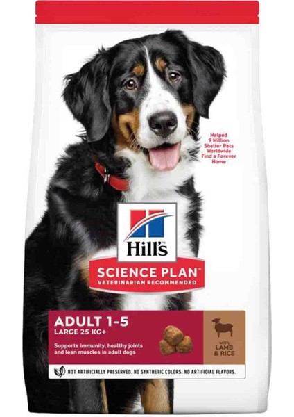 Hills Science Plan Büyük Irk Kuzu Etli Yetişkin Köpek Maması 12 kg +2 kg