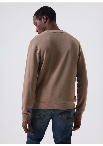 Bisiklet Yaka Taş Erkek Sweatshırt 241 Lcm 241018 Dorre Tas