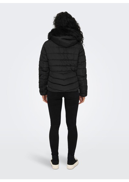 Siyah Kadın Mont Onlellan Quılted Hood Jacket cc Otw fırsatları
