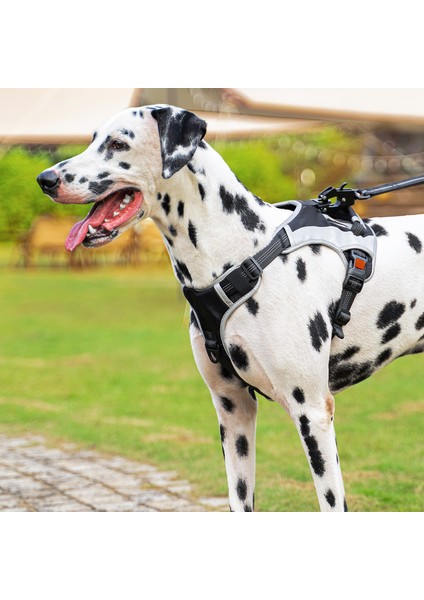 Evcil Hayvan Göğüs Küçük Orta ve Büyük Köpek Yansıtıcı Patlama Koşullu Kırmızı Köpek Koşum (Yurt Dışından)