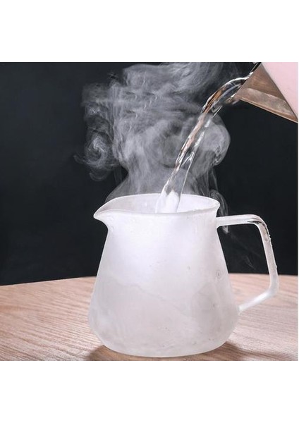 Borosilikat Cam Pot Kahve Makinesi Mutfak Fransız Kahvesi Basın Espresso Çay Makinesi | Çaydanlıklar (Yurt Dışından) fırsatları