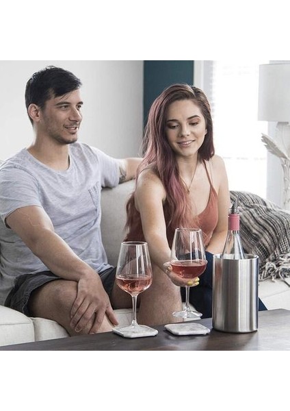 Yalıtımlı Şarap Soğutucu Kova Şarap Havalandırıcı ile Uygun 750ML Şarap Şişeleri, Şarap Saatlerce Soğuk Tutar |tersiz Paslanmaz Çelik | Buz Kovaları ve Amp;maşa (Yurt Dışından) modelleri