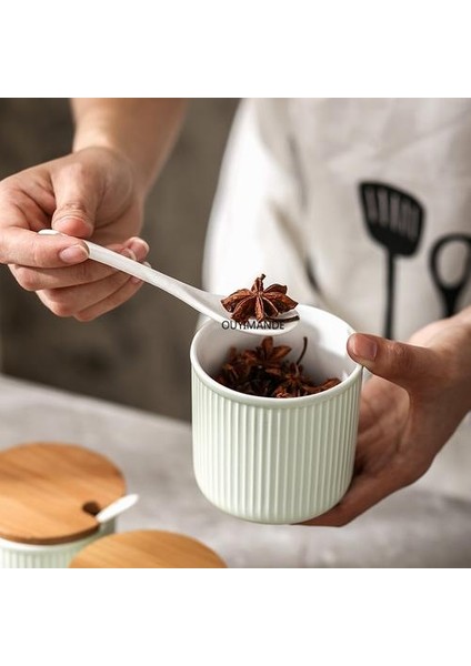 Nordic Seramik Baharat Kutusu Baharat Pot Set Ev Mutfak Baharat Pot Biber Tuz Şeker Kase Baharat Şişesi | Şişeler, Kavanozlar ve Amp;kutular (Yeşil) (Yurt Dışından)