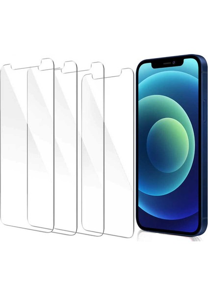 iPhone 13 Pro Zore Nano Micro Temperli Ekran Koruyucu
