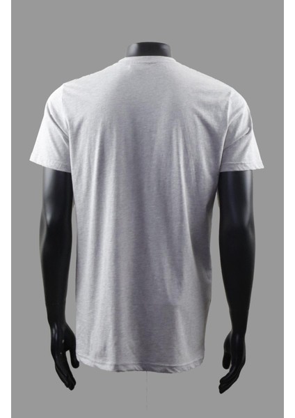 Regular Fit Bisiklet Yaka T-Shirt E22-71902 modelleri