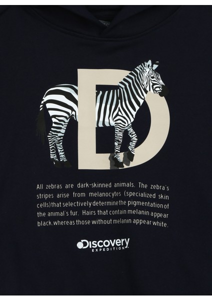 Lacivert Erkek Çocuk Kapüşonlu Sweatshirt D3WB-SWT26