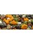 Çakıltaşı Draje Çikolatalı 250 gr 2