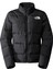 W Mountaın Lıght Trıclımate Gtx Jacket NF0A84EYJK31 4