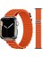 Apsuwa Apple Watch Ultra 2 Kordon Alpine Silikon 1