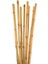 30 Adet Bambu Bitki Fidan Destek Çubuğu 190 - 200 Cm 1
