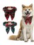 Swallowtail Kelebek Köpek Yaka Noel Ekose Gül Altın Toka High-End Pet Yaka Ilmek (Yurt Dışından) 1