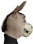 Hayvan Maskesi Başlık Shrek Eşek Maskesi Masquerade Parti Sahne (Yurt Dışından) 3