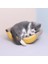Banana Gibi Kedi Scratcher Kurulu Ev Yavru Kedi Oynayan Kanepe Pençe Taşlama Pedi Kalifiye | Mobilya ve Amp;çizikler (Yurt Dışından) 2