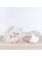 Pet Interaktif Oyuncak Kedi Sopa Tüy Oyuncak Tüyler Tease Kitten Kedi Otomatik Tüy Oyuncak Kedi Sopa Pet Malzemeleri | Kedi Oyuncakları (Yurt Dışından) 2