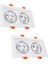 2 Paket LED Gömme Tavan Işık Cob Montaj Çerçevesi Ayarlanabilir 30 Derece Downlight Tavan Işık 5 W 2 Kafa Kesim 75 * 150MM, Oturma Odası, Yatak Odası, Mutfak Için Gömme Aydınlatma (Yurt Dışından) 1