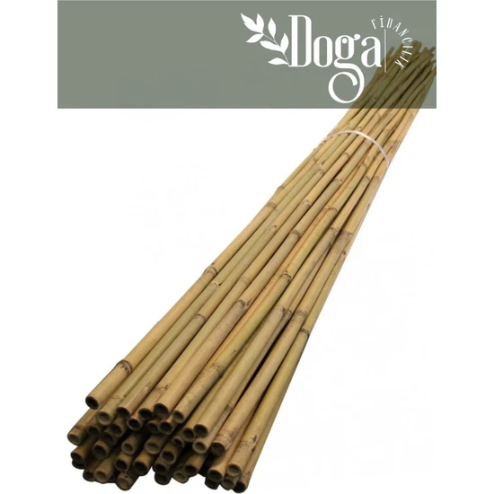 Doğa Fidancılık 50 Adet Bambu Bitki Fidan Destek Çubuğu 170 - 175 cm