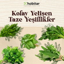 Genta Hobitar Kolay Yetişen Yaze Yeşillikler Sebze Tohumu Paketi - 5 Çeşit Aromatik Tohumu