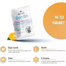 Benitin Kediler Için Tüy Sağlığı Destekleyici Multivitamin Süspansiyon Tüy Dökümü Önleyici Biyotin