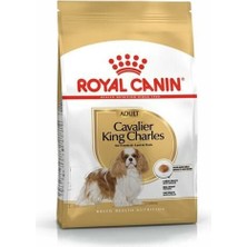 Royal Canin Cavalier King Charles Yetişkin Köpek Maması 3 kg