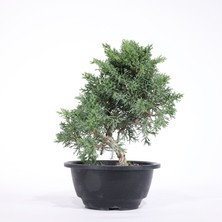 Seika Yuvarlak Bonsai Saksısı - Siyah (16 Cm)