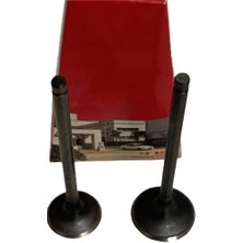 Moto Express Suzuki GN125 Subap Takımı Emme Egzoz Subabı Dg Dp2