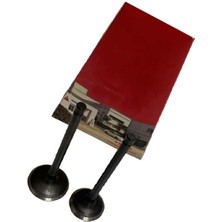 Moto Express Modenas Kriss1 Kriss2 Subap Takımı Emme Egzoz Subabı Dg Dp2