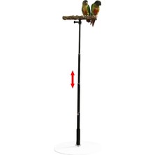 Vivis Ahşap T Standı Finch Conures Için Papağan Eğ Ahır Kuş (Yurt Dışından)