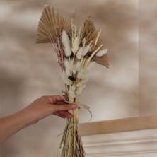 Hidden Botanics Ev Dekorasyon Kurutulmuş Çiçekler Palmiye Yaprakları