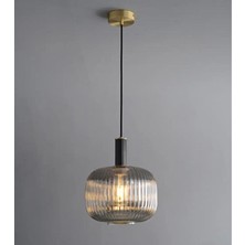 Rsylight Rustik Dekoratif Metal Modern Siyah Füme Opal Camlı Tekli  Avize