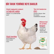 Rtm Gezen Tavuk Yumurta Yemi 5 kg